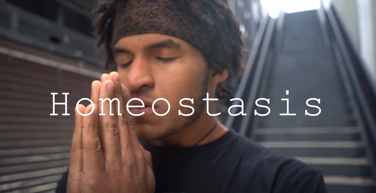 Homeostasis